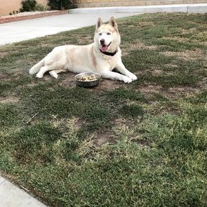 Meet your Posher, Mario